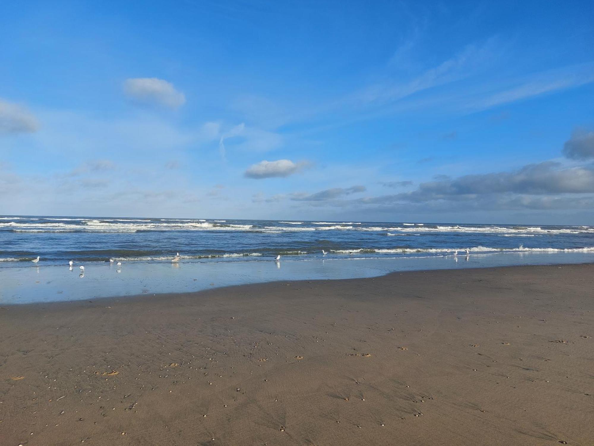 Rembrandts Beach View Zandvoort Room photo
